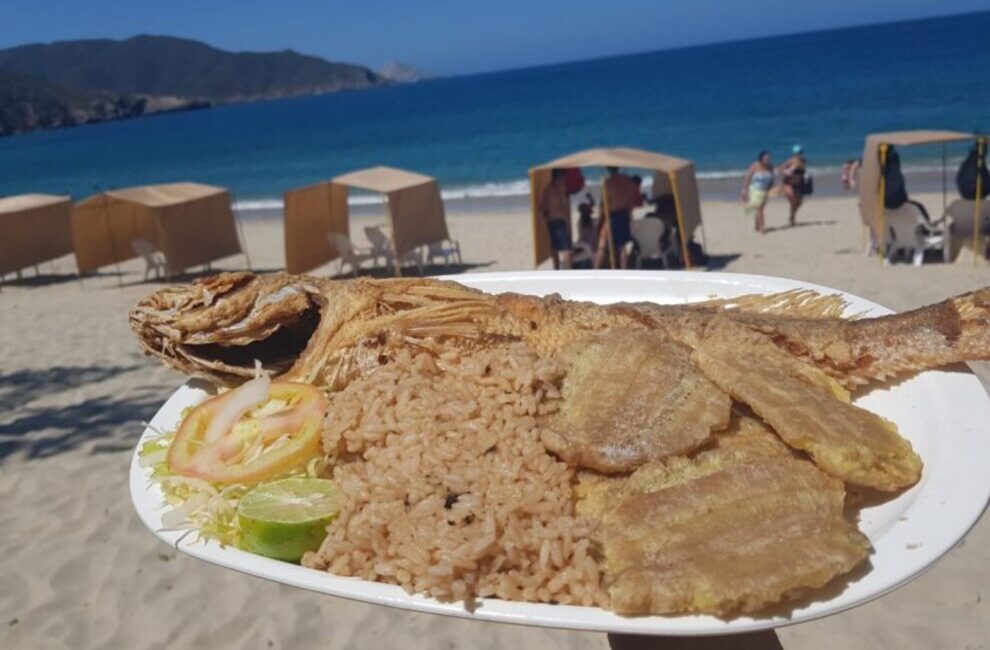 Meals included