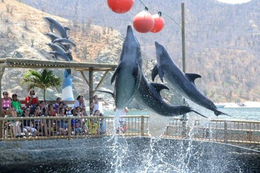 TOUR PLAYA BLANCA Y ACUARIO